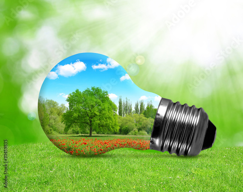 Eco bulb in grass. Environment or energy concept background.