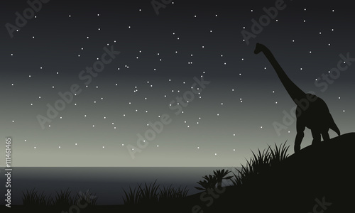 Silhouette of brachiosaurus at night