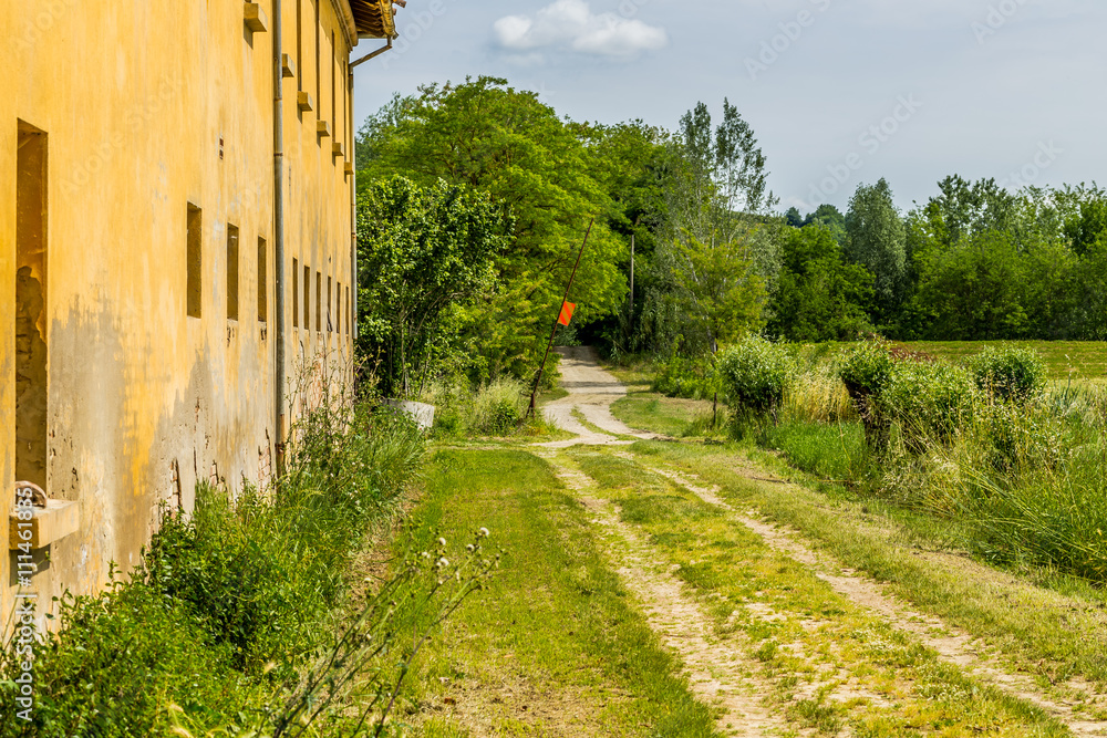 Fototapeta premium country dirt road
