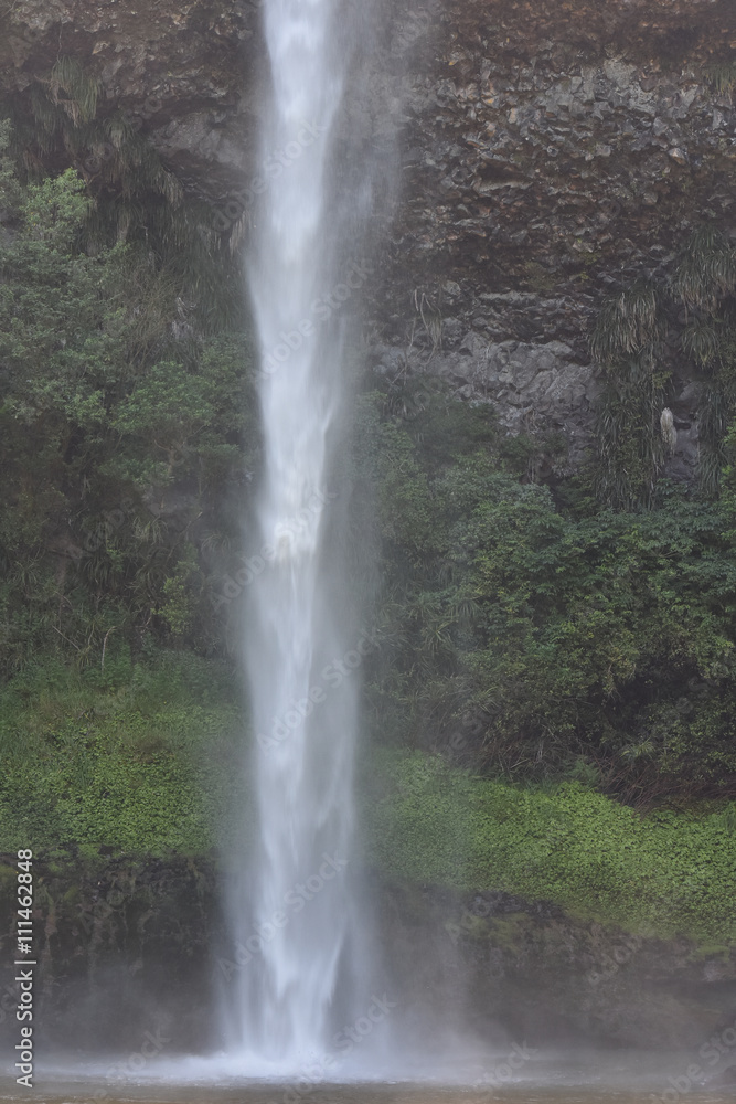 Waterfall with rocky cliff covered by green plants behind it. Waterfall with rocky cliff covered by green plants behind it.