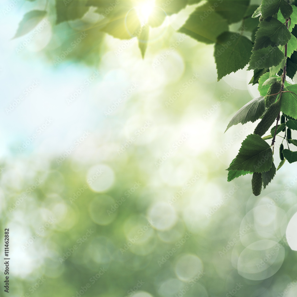 Beauty seasonal backgrounds with shallow focus and natural bokeh Beauty seasonal backgrounds with shallow focus and natural bokeh