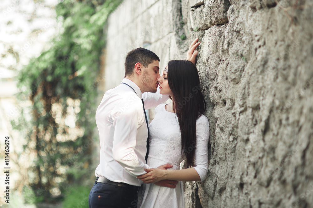 Gorgeous newlywed posing near beautiful wall of plants bushes trees in their wedding day Gorgeous newlywed posing near beautiful wall of plants bushes trees in their wedding day