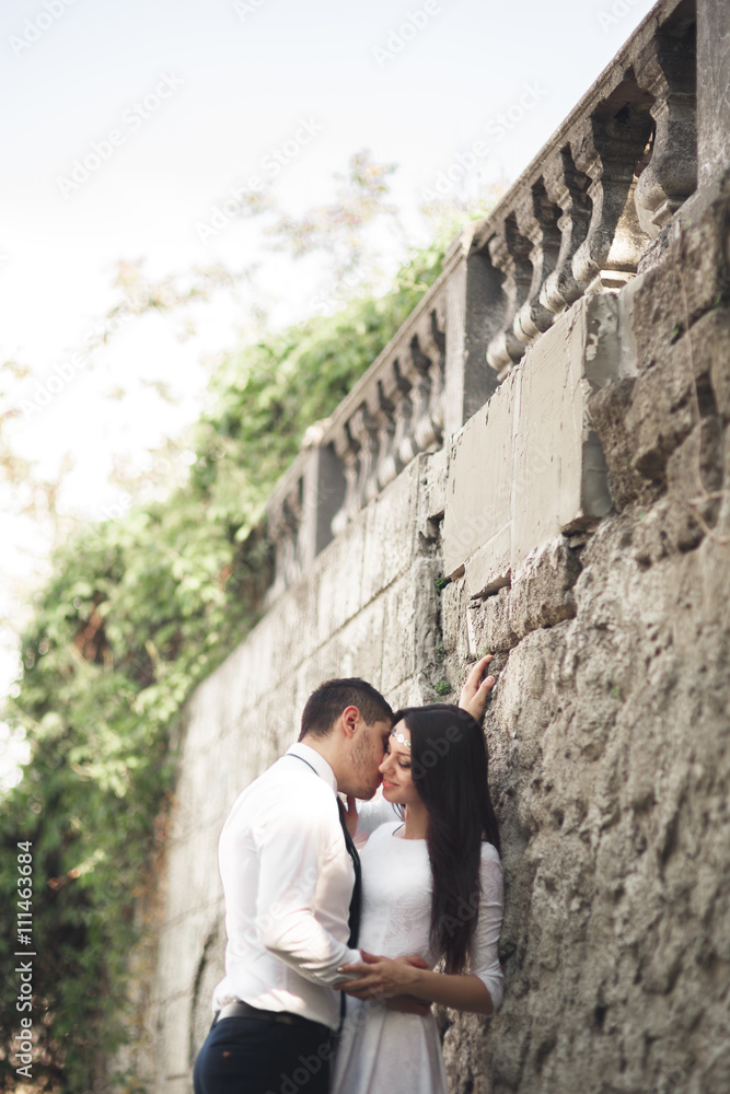 Gorgeous newlywed posing near beautiful wall of plants bushes trees in their wedding day