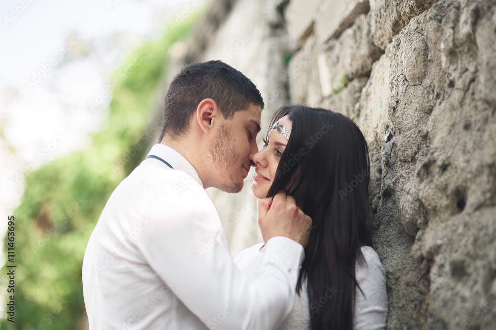 Gorgeous newlywed posing near beautiful wall of plants bushes trees in their wedding day Gorgeous newlywed posing near beautiful wall of plants bushes trees in their wedding day