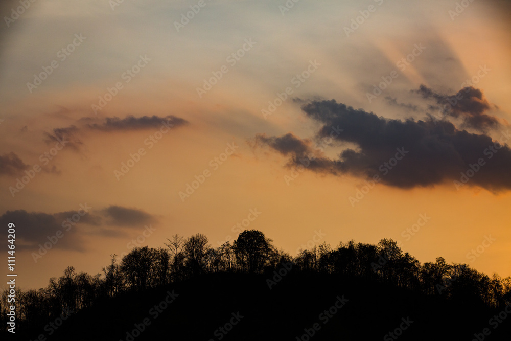 Silhouettes of trees and mountain on sunset