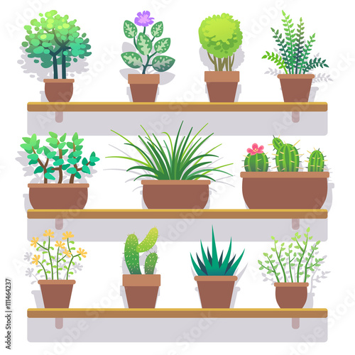 Indoor plants in pots flat icons set. Interior plant in pot and nature plant for home gardening. Vector illustration