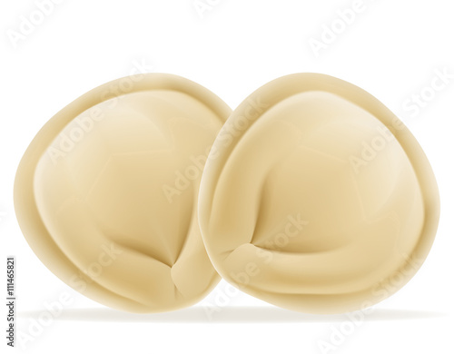 dumplings pelmeni of dough with a filling vector illustration