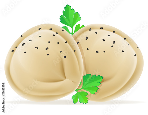dumplings pelmeni of dough with a filling and greens vector illu