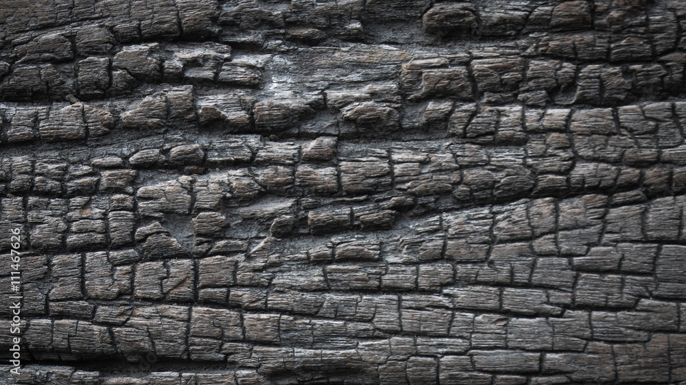 old wood Abstract background old wood Abstract background