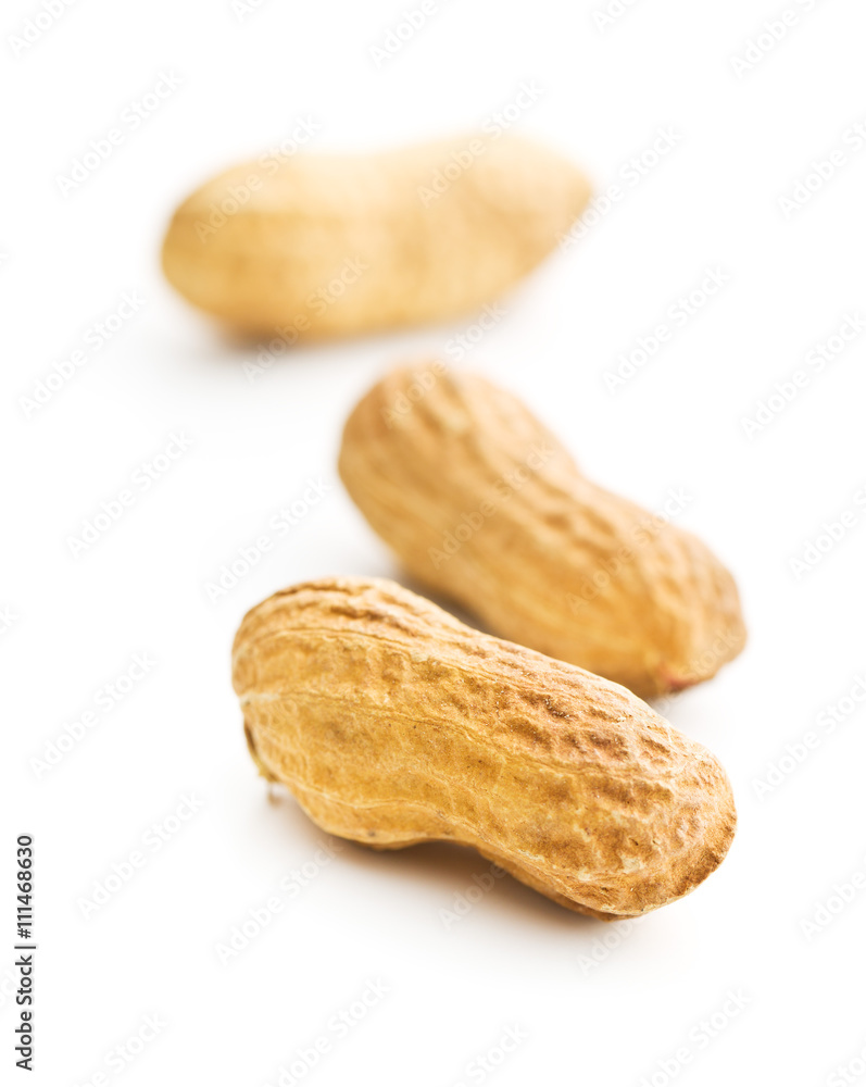 dried peanuts dried peanuts