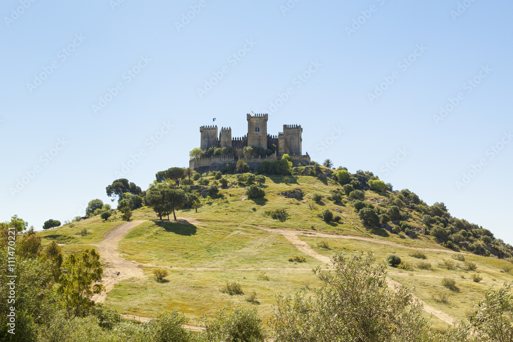 Castle on the hill at Almodovar del Rio