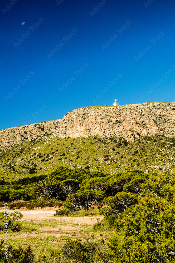 Fossil Coral Reef, Santa Pola, Alicante, Spain