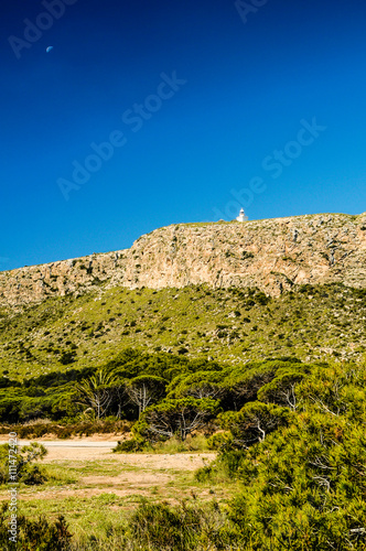 Fossil Coral Reef, Santa Pola, Alicante, Spain