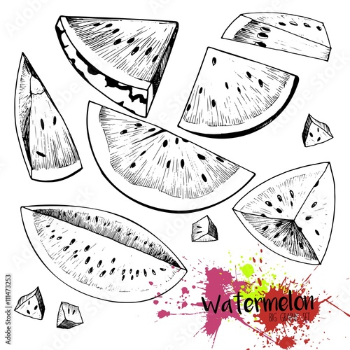 Vector set of engraving watermelon pieces. Juicy fresh organic fruit illustration. Couple of watermrlon slices, pyramides and quter. Hand drawn. photo