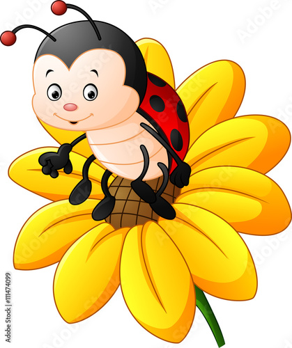 Cartoon ladybug on the sun flower