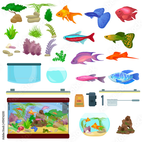 Fish tank, aquarium with water, animals, algae, corals, equipment