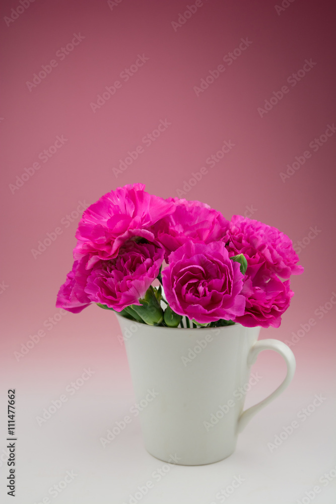 カーネーションの花 カーネーションの花