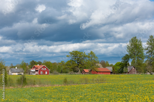 Farm in the Swedish countryside. Typical red painted buildings in the green landscape.