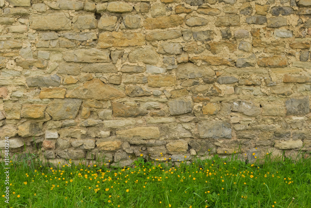 Hintergrund Sandsteinmauer aus Bruchsteinen uns Wiese im Frühling mit