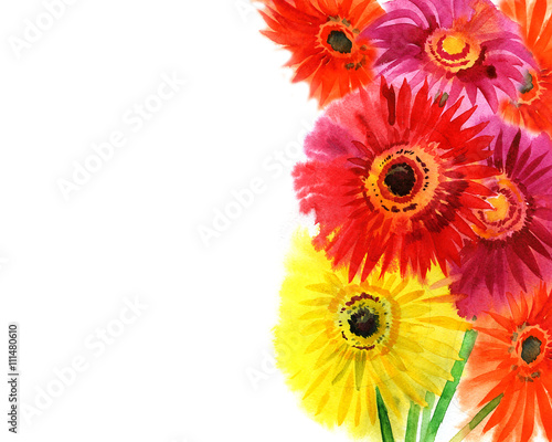 summer watercolor colored gerbera daisies