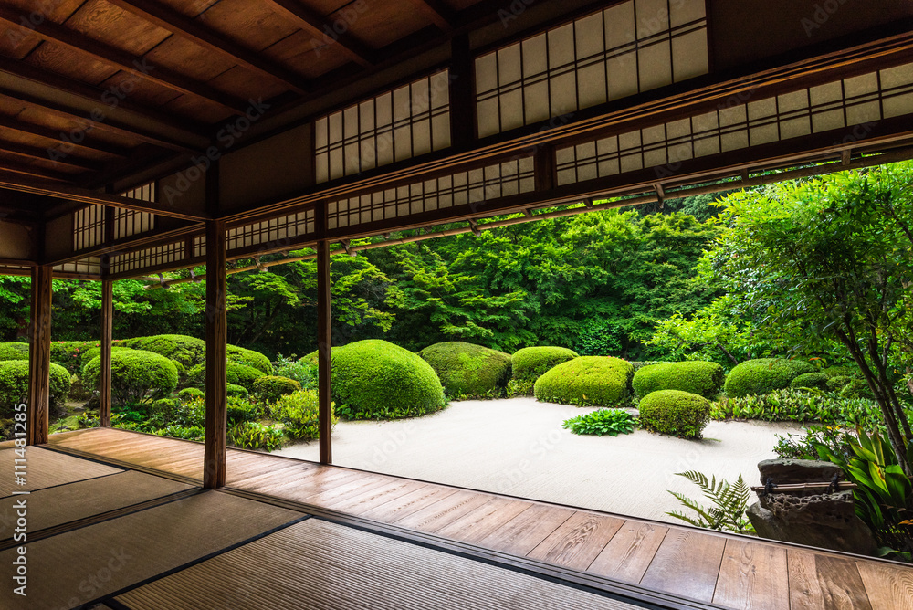 Fototapeta premium Kioto świeży zielony wiersz