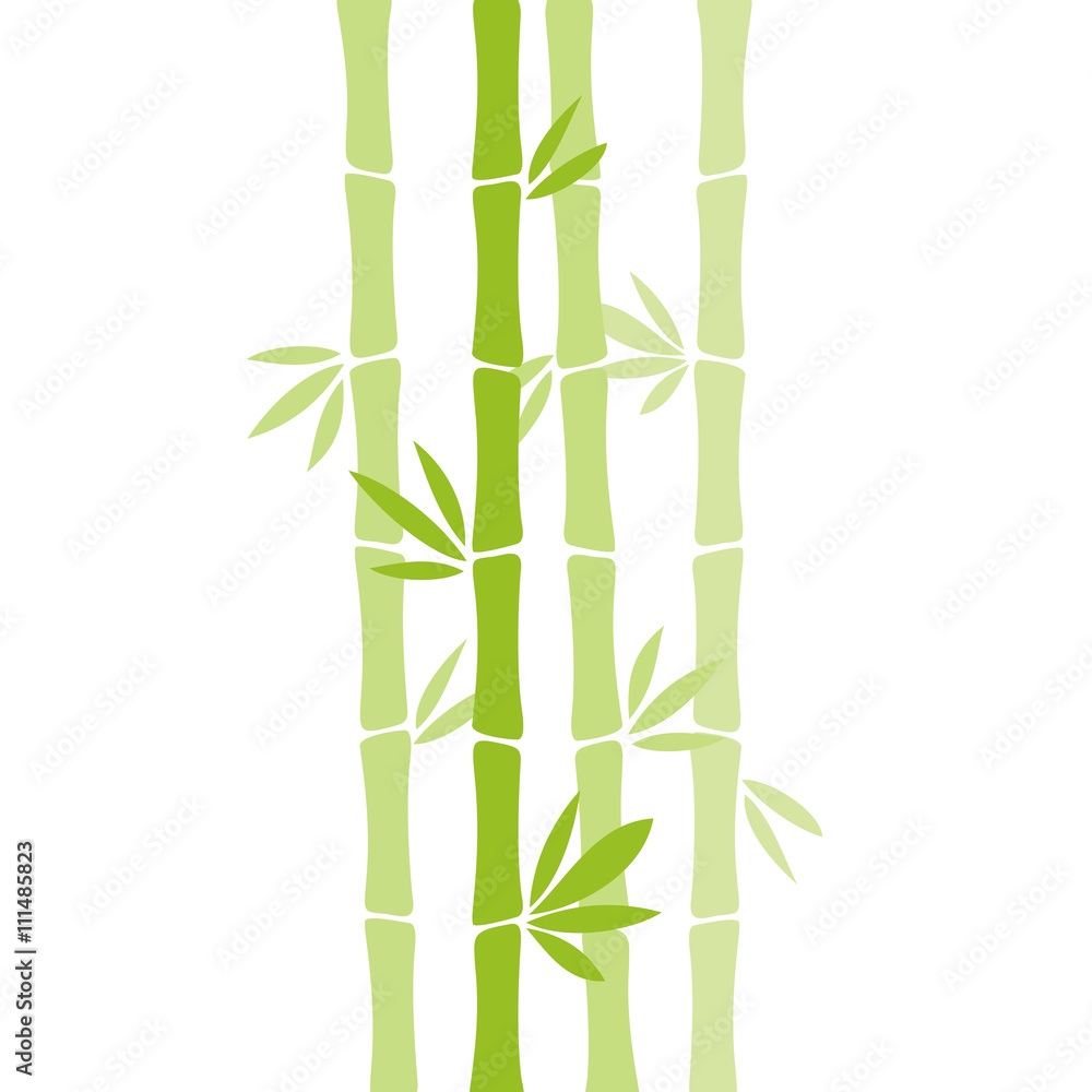 Obraz premium Bamboo vector illustration isolated on white background.