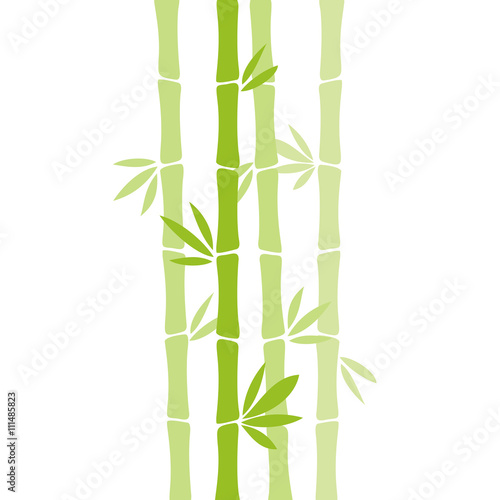 Fototapeta Naklejka Na Ścianę i Meble -  Bamboo vector illustration isolated on white background.