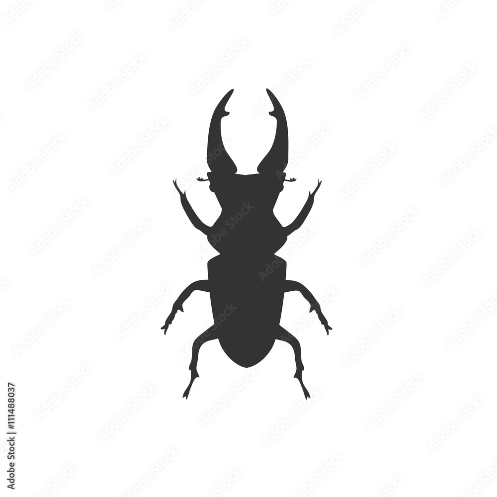 Big Beetle Deer with Horns Big Beetle Deer with Horns