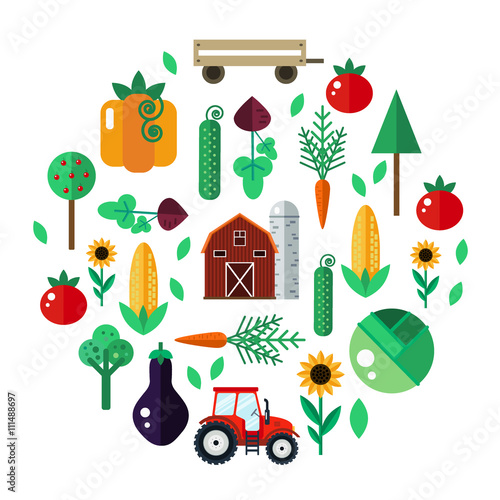 Farm with tractor, vegetables, barn, trees, sunflowers. Farm vector illustration. Farm concept. Farm set - carrot,pumpkin,beet,cabbage,tomato,eggplant,cucumber,corn. Farm vector set in flat style.
