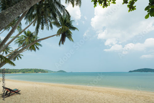 Fototapeta Naklejka Na Ścianę i Meble -  Coconut palm tree at the beautiful beach