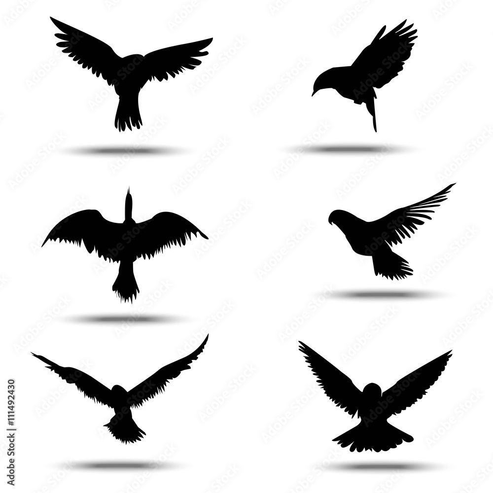 Obraz premium sinhouette birds on isolated white background