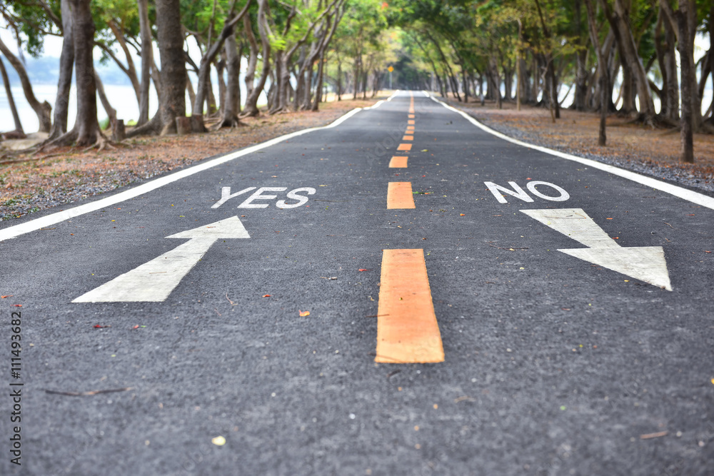 Obraz premium Business concept, yes or no words with white arrow sign marking on road surface in the park for giving directions