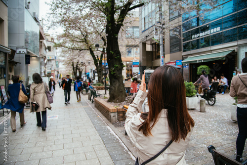 Girl take photograph of cherry blossom along the street