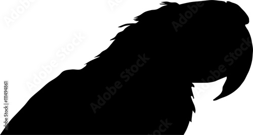 Ara Silhouette