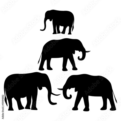 silhouettes of African elephants
