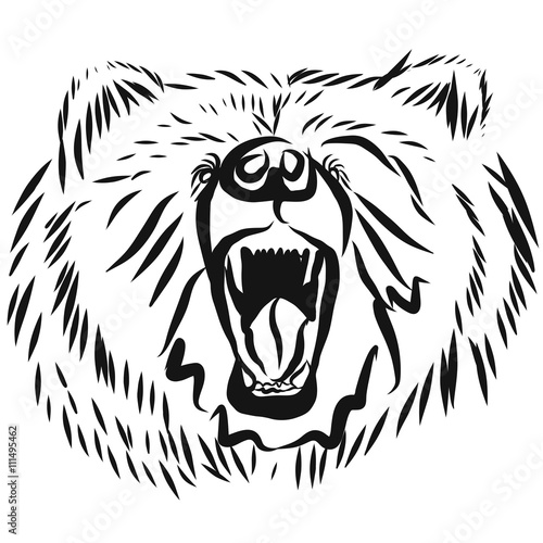 grizzly bear head, rearing angry pose
