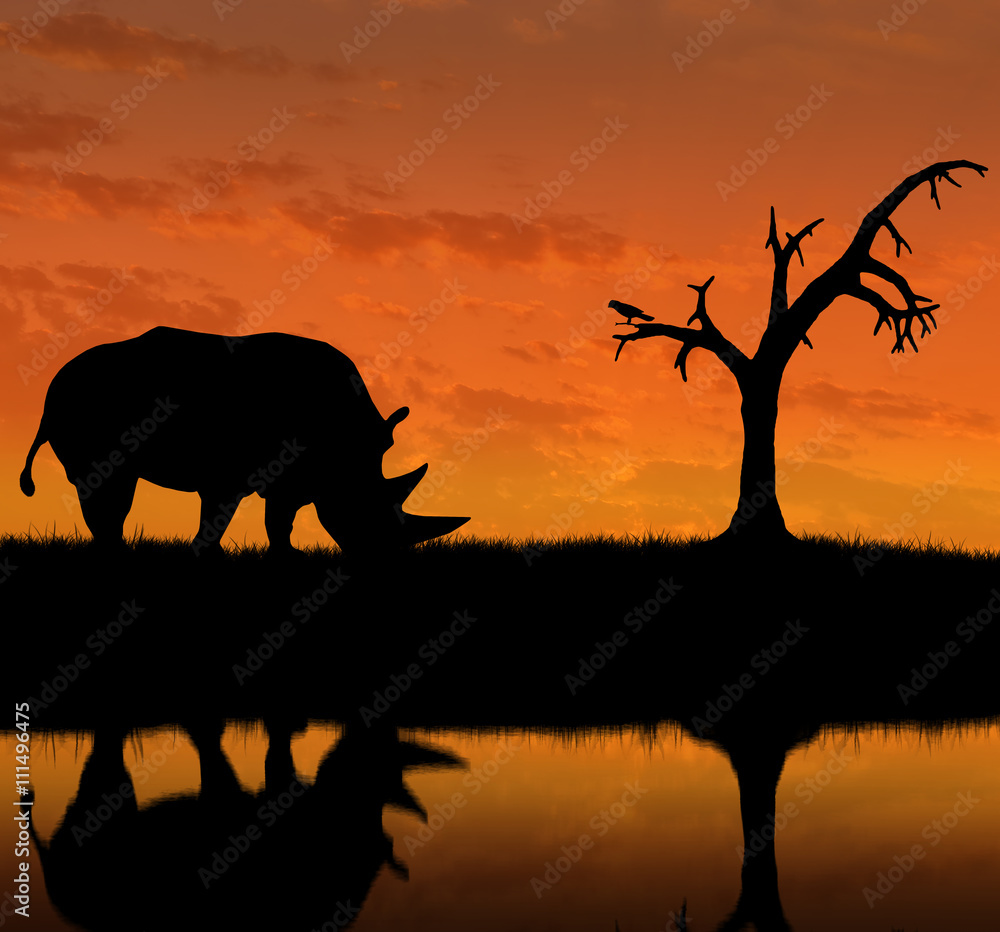 Naklejka premium Sylwetka nosorożca w pobliżu rzeki