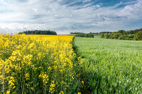 Foto Spring countryside with fields, forests and blue sky