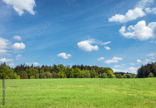 Spring or summer landscape – meadow, forest and sky