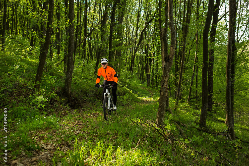 Naklejka premium Cyclist Riding the Bike on a Trail in Summer Forest