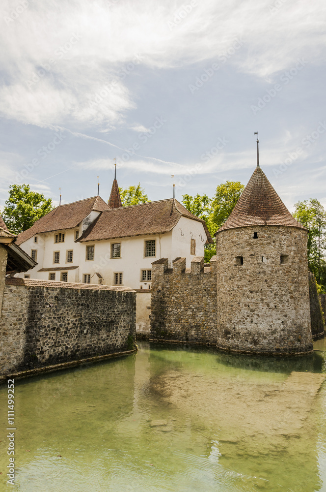 Naklejka premium Hallwyl, Schloss Hallwyl, Hallwilersee, Wasserschloss, Insel, Aargau, Wanderweg, Spazierweg, Seeufer, Frühling, Sommer, Schweiz