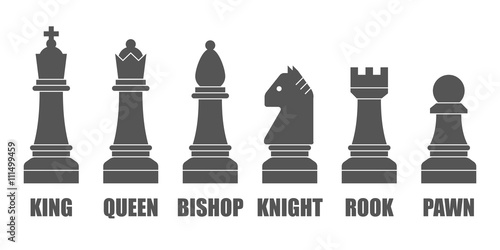 Chess pieces. Vector chessmen shapes with the names of figures isolated on white background. photo