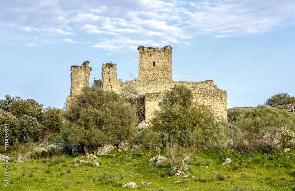 Aldea del Cano Castle Mayoralgo province of Caceres, Spain