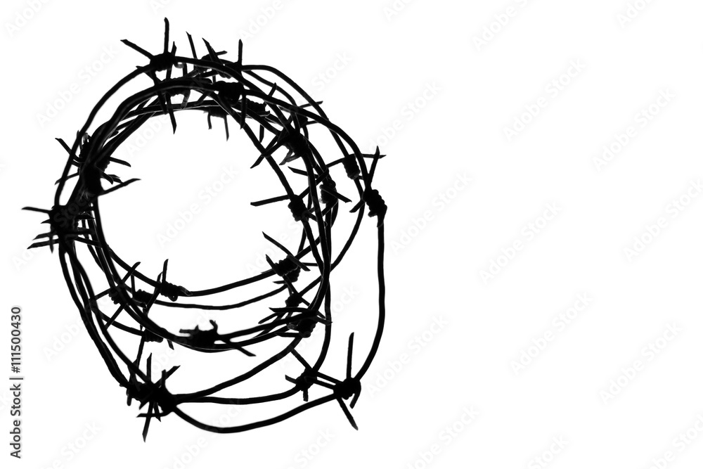 Fencing. Fence with barbed wire. Let. Jail. Thorns. Block. A prisoner. Barbed wire under tension. Holocaust. Concentration camp. Prisoners. Depressive background. Fencing. Fence with barbed wire. Let. Jail. Thorns. Block. A prisoner. Barbed wire under tension. Holocaust. Concentration camp. Prisoners. Depressive background.