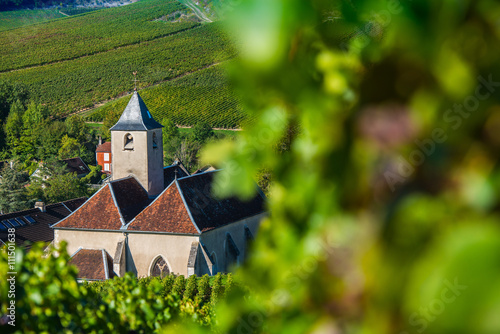 Viviers sur Artaut, Champagne vineyards in the Cote des Bar area of the Aube departm photo