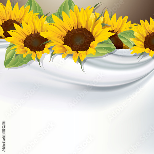 Fototapeta Naklejka Na Ścianę i Meble -  Vector white silk fabric background with sunflower.