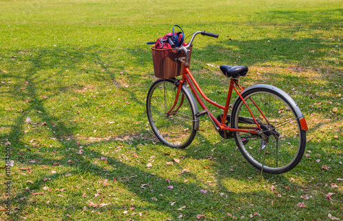 Bicycles parked in the park