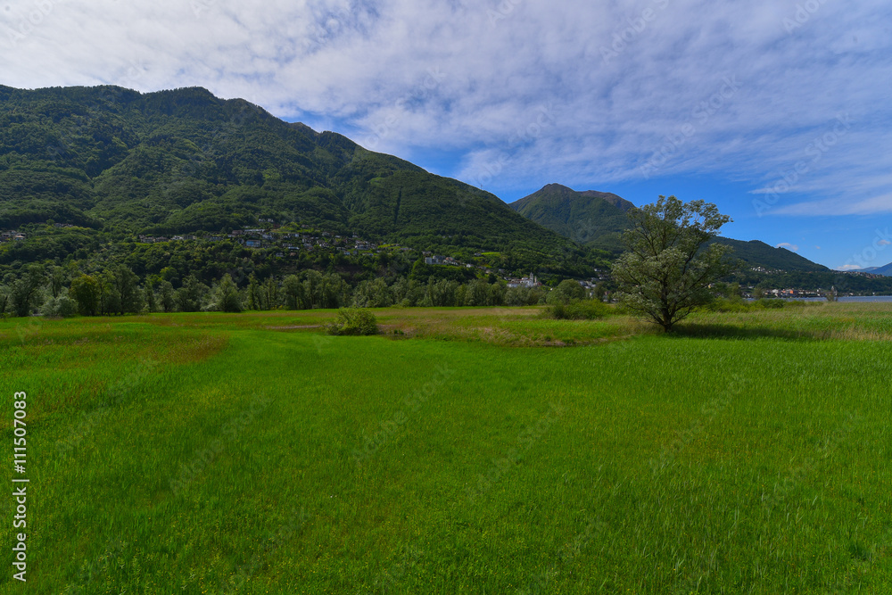 Obraz premium Prato di campagna con cielo blu