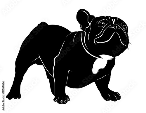 Dog Bulldog. The dog breed bulldog.Dog Bulldog black silhouette vector isolated on white background.
