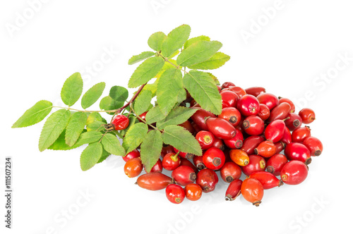 Fresh rose hips with green leaves isolated on white.